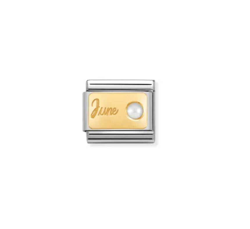 Gold Birthstone Months - Composable Link | Nomination Italy