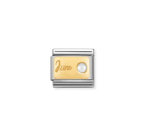 Gold Birthstone Months - Composable Link | Nomination Italy