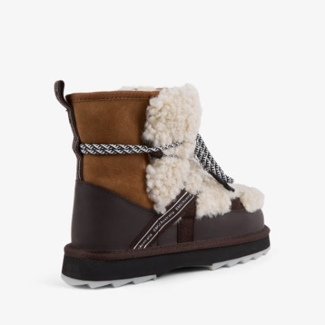 Blurred Teddy Chestnut | Emu Australia